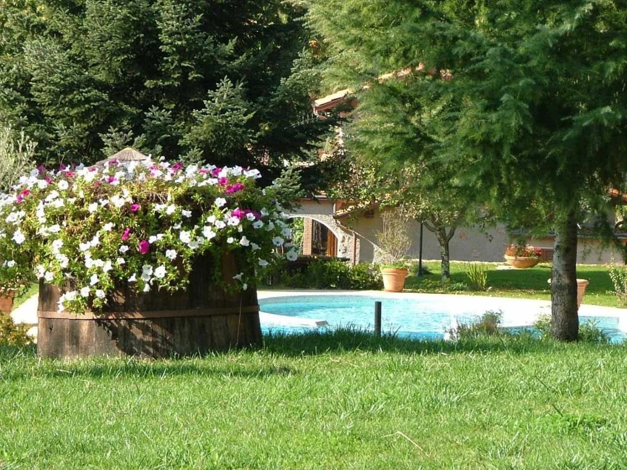 La Terrazza Sulla Versilia Pietrasanta Extérieur photo