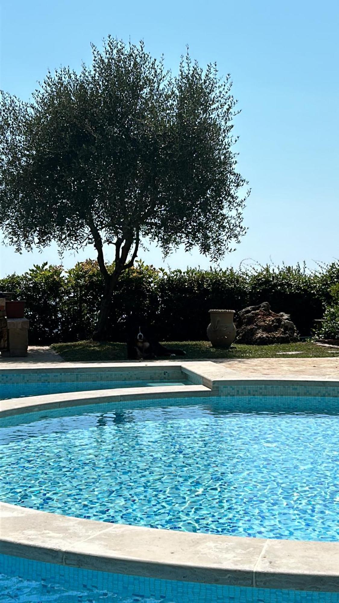 La Terrazza Sulla Versilia Pietrasanta Extérieur photo